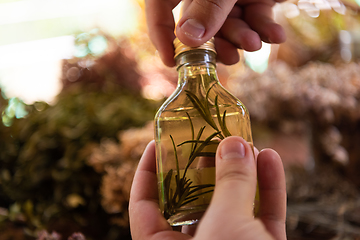 Image showing potion bottle in hand of herbalist