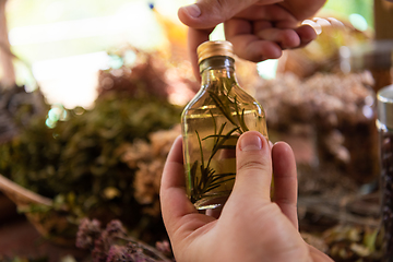 Image showing potion bottle in hand of herbalist