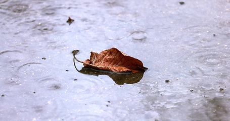 Image showing Sad rainy day concept with wet surfaces