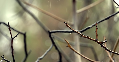 Image showing Sad rainy day concept with wet surfaces