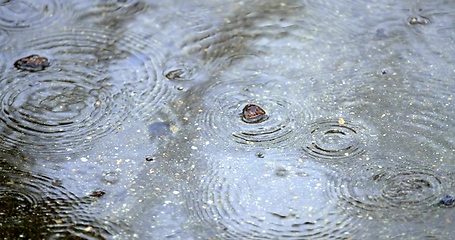 Image showing Sad rainy day concept with wet surfaces