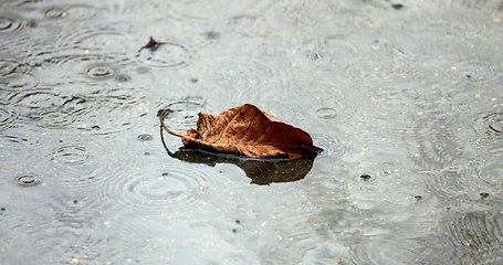 Image showing Sad rainy day concept with wet surfaces