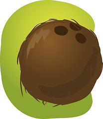 Image showing Coconut illustration