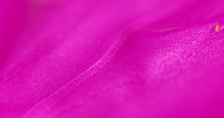 Image showing Abstract multicolored surface closeup photo