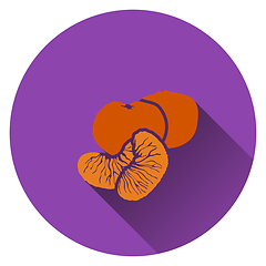 Image showing Mandarin icon