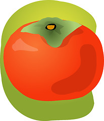 Image showing Persimmon fruit illustration