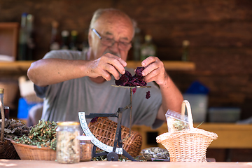 Image showing herbalist