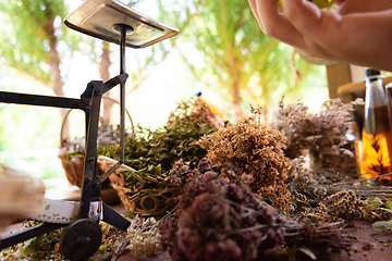 Image showing herbalist workshop