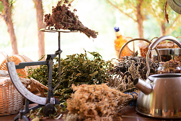 Image showing herbalist workshop