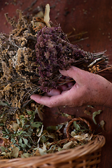 Image showing herbalist workshop