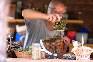 Image showing herbalist