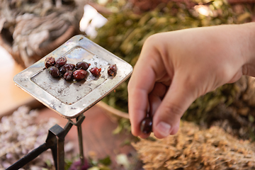 Image showing herbalist small business owner