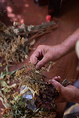 Image showing herbalist workshop