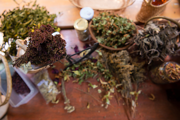 Image showing herbalist workshop