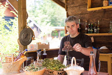 Image showing herbalist small business owner