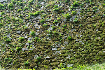 Image showing Old gray stone wall with green moss texture