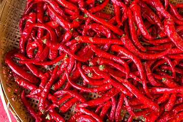 Image showing Red hot chilly peper