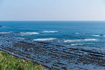 Image showing Aoshima Island coast