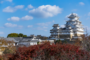 Image showing Japanese Himeiji Castle and maple tree