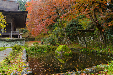 Image showing Beautiful Japanese park in autumn