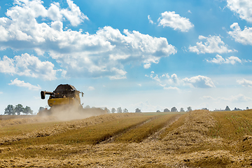 Image showing Summer harvesting with automatic harvester