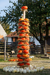 Image showing Ripe autumn pumpkins arranged on totem in farm