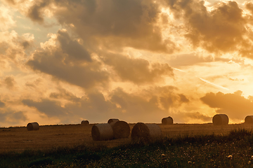 Image showing harvested field with straw bales in evening summer