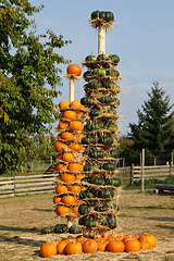 Image showing Ripe autumn pumpkins arranged on totem in farm