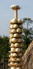 Image showing Ripe autumn pumpkins arranged on totem in farm
