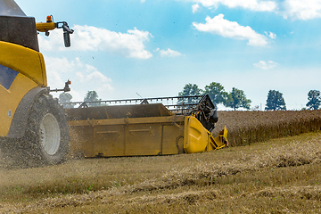 Image showing Summer harvesting with automatic harvester