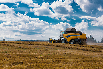 Image showing Summer harvesting with automatic harvester