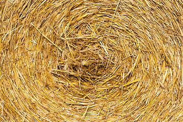 Image showing dry straw closeup