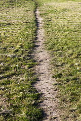 Image showing path on the lawn