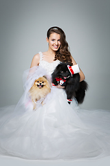 Image showing bride girl with Spitz dog wedding couple