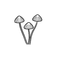 Image showing Agaric mushroom hand drawn sketch icon.