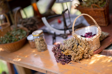 Image showing herbalist workshop