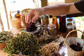 Image showing herbalist small business owner