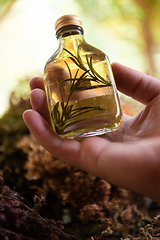 Image showing potion bottle in hand of herbalist