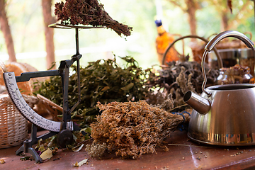 Image showing herbalist workshop