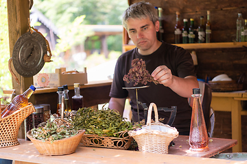 Image showing herbalist small business owner