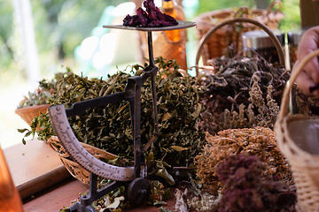 Image showing herbalist small business owner