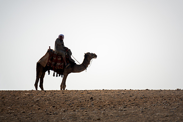 Image showing camel ride in the desert Cairo Egypt