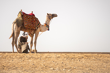 Image showing camel ride in the desert Cairo Egypt