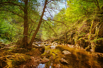 Image showing The Devin River Valley