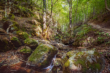 Image showing The Devin River Valley