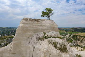 Image showing Lonely tree at limestone quarry in Moldova