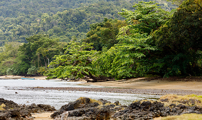 Image showing beach in Masoala forest reserve, Madagascar