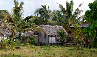 Image showing Africa malagasy huts in Maroantsetra region, Madagascar