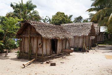 Image showing Africa malagasy huts in Maroantsetra region, Madagascar