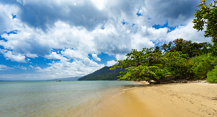 Image showing beach in Masoala forest reserve, Madagascar